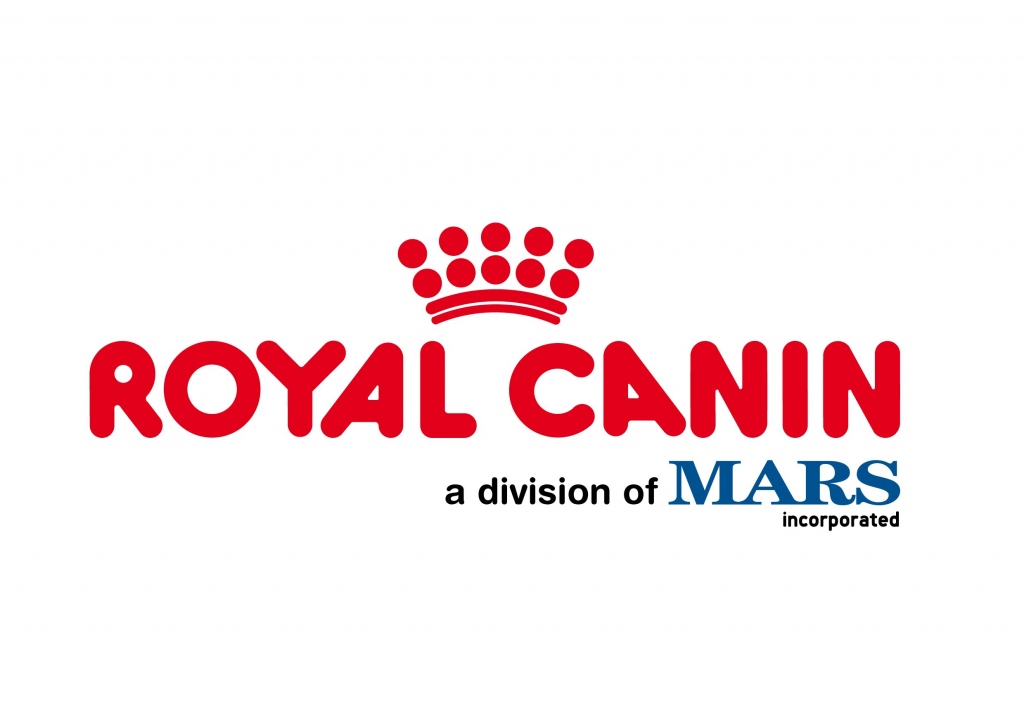 Шрифт royal canines